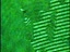 No Data