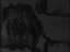 No Data