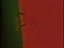 No Data