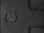 No Data