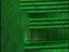 No Data